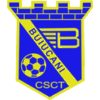 基希纳乌野牛