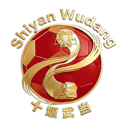 武汉队